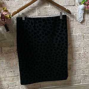 Ann Taylor skirt ❤️